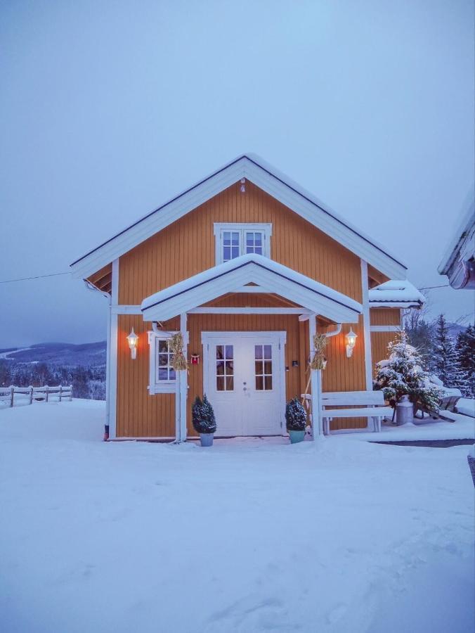 20 Min From Sjusjoen, 30 Min From Lillehammer And Hamar, 2h From Oslo *