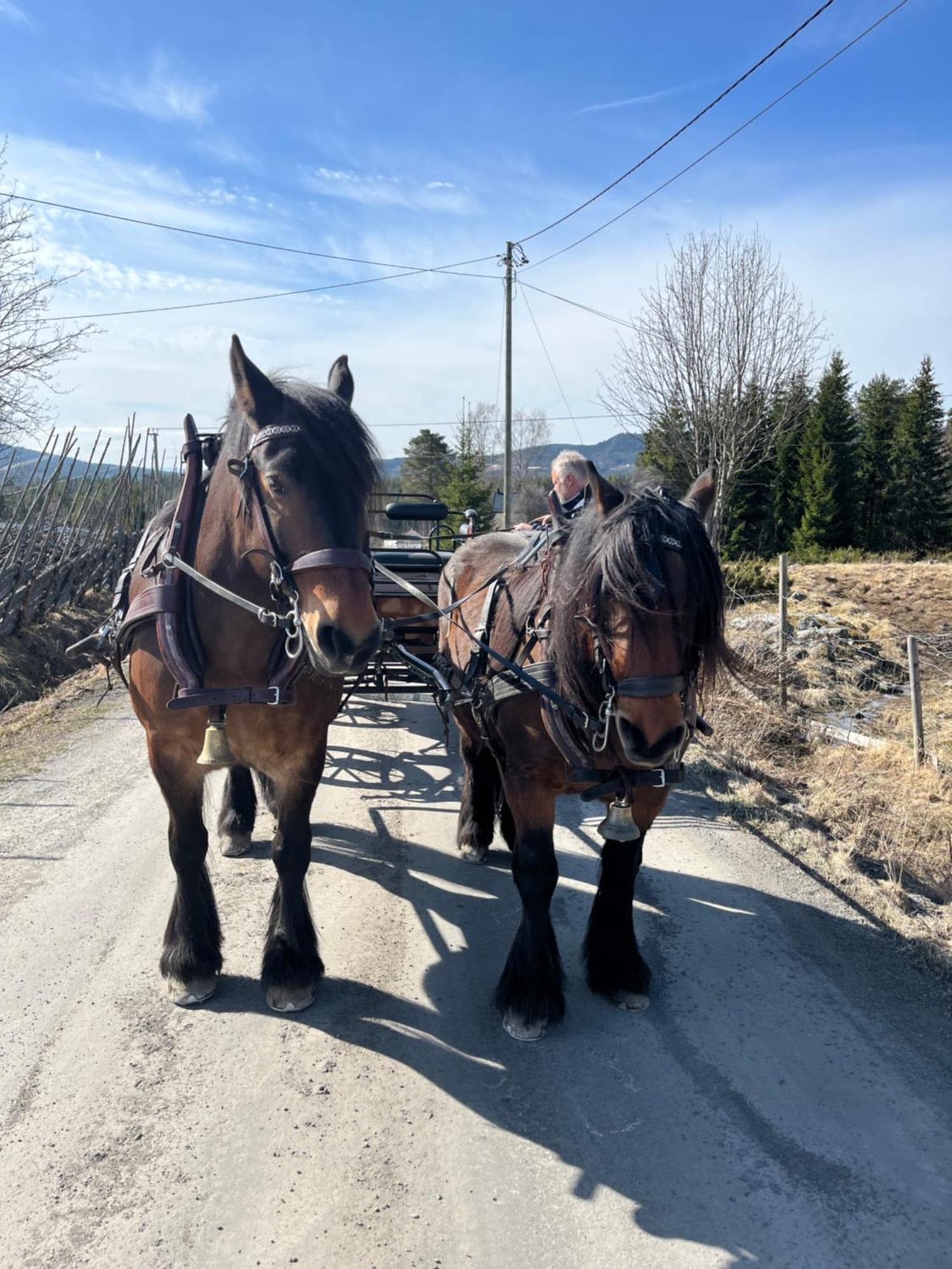 20 Min From Sjusjoen, 30 Min From Lillehammer And Hamar, 2h From Oslo